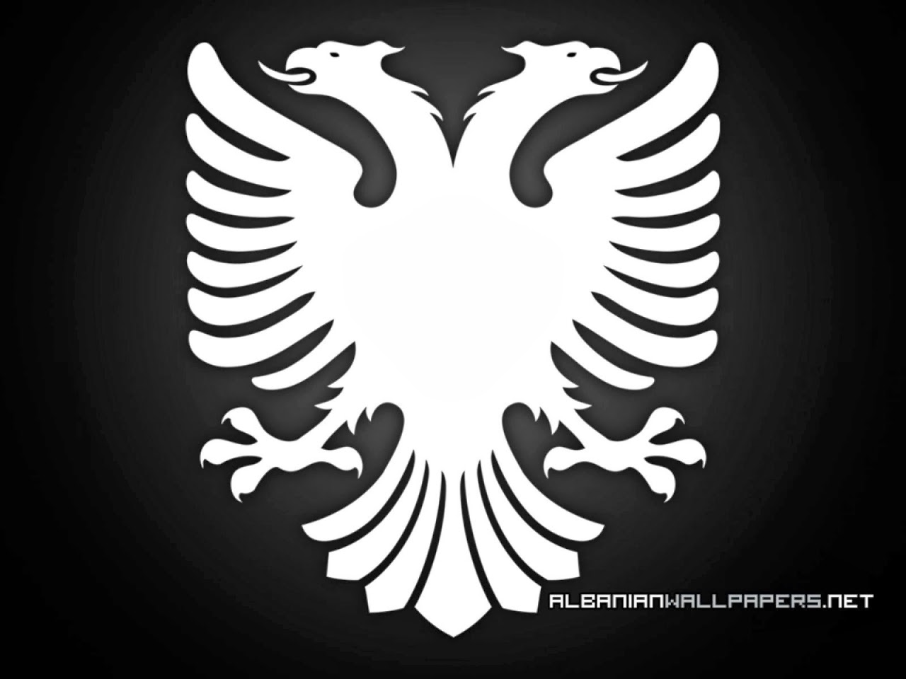 Rules of the Jungle: Eagles in Symbols - Albanian eagle